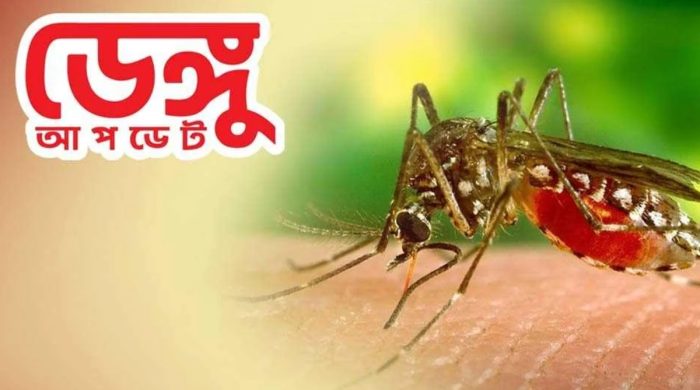 ডেঙ্গুতে একদিনে হাসপাতালে ৮৬৮, মৃত্যু নেই