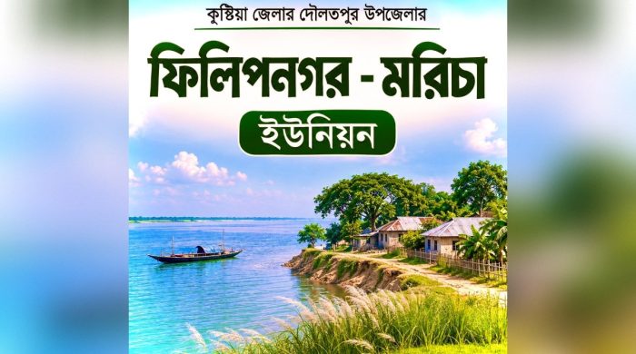 পদ্মায় পানি বাড়তেই দৌলতপুরে ডাকাতির আতঙ্ক