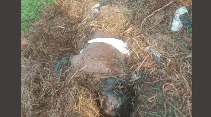 কুষ্টিয়ার দৌলতপুরের মাঠের ক্যানেল থেকে অজ্ঞাত ব্যক্তির লাশ উদ্ধার