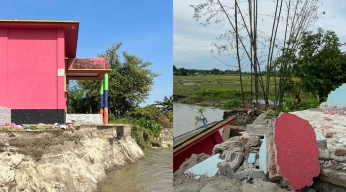 চোখের পলকে পদ্মায় বিলীন  বসতবাড়ি
