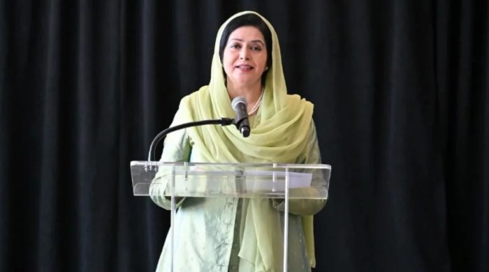 জাতিসংঘে নারী নেতৃত্বের প্ল্যাটফর্মে জুবাইদার বক্তব্য