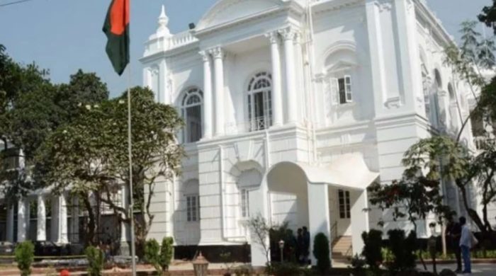 জুলাই আন্দোলনে স্বামী নিহত, সাক্ষ্য দেওয়ায় মেয়েকে ধর্ষণের অভিযোগ