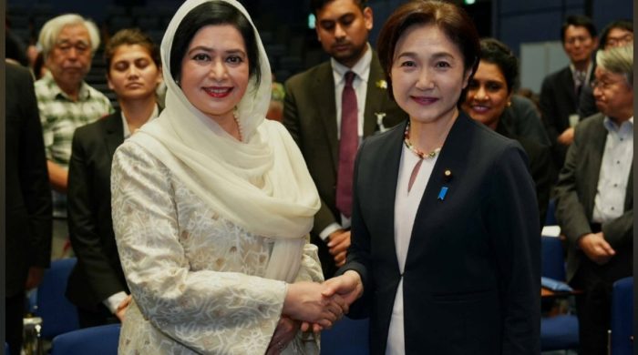 বাংলাদেশের স্বাস্থ্য খাতে সহযোগিতা বাড়াতে জাপানি ফাউন্ডেশনকে জুবাইদার আহ্বান