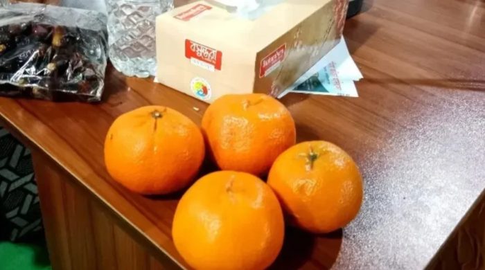 মৌলভীবাজারে এক হালি কমলা বিক্রি হলো ৫০ হাজারে