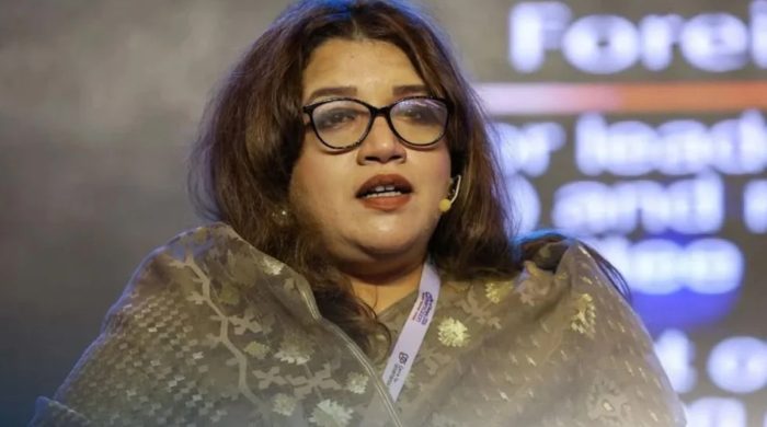 ‘দাবার বোর্ড হতে চাই না’ পররাষ্ট্র প্রতিমন্ত্রী